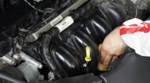 ���������l(f��)�әC(j��)�������c�γɵ�ԭ��