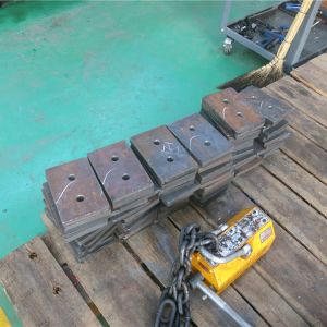 2018111102 ���������^