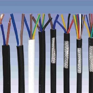 ������|����|���N��е�һ�N��ʲô�ǿ�����|��