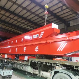 2021330440-LD10t-22.5m H=9m A3늄ӆ������ؙC