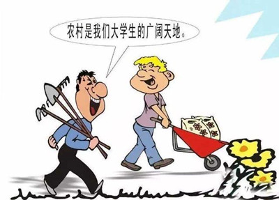考公、考研難度高，應(yīng)屆生你還有4種選擇