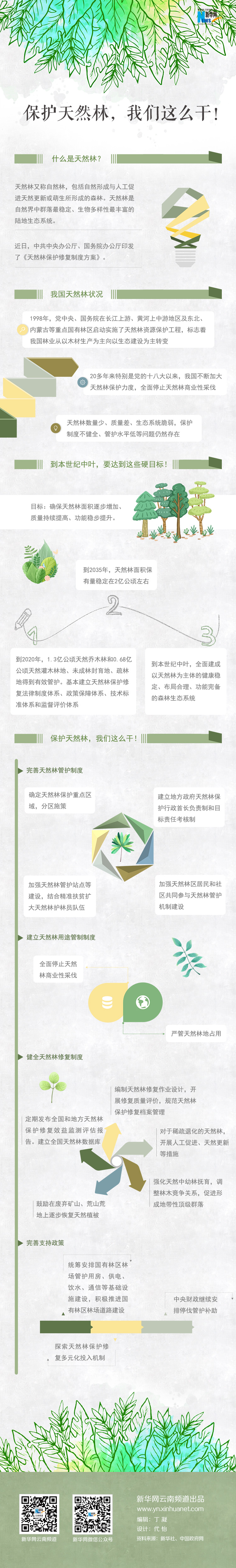 2020年國(guó)家公務(wù)員考試時(shí)政：保護(hù)天然林，我們這么干！